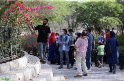 مدیرعامل بانک مهر ایران خواستار شد؛ استفاده از خدمات بانکداری الکترونیک بانک قرض الحسنه مهرایران در مقابله با ویروس كرونا