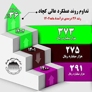 رشد 36 درصدی درآمد 8 ماهه سال 1402