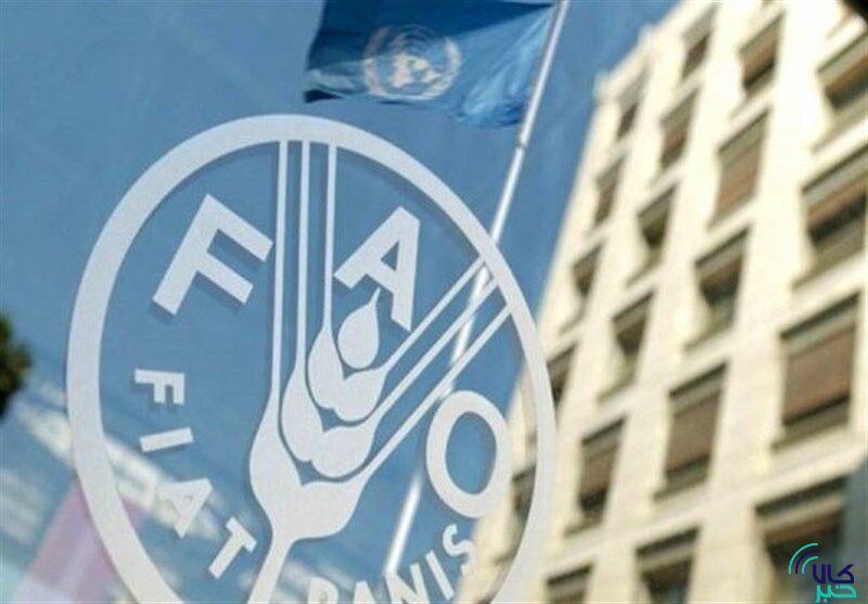 هشدار سازمان ملل درباره امنیت غذایی جهان