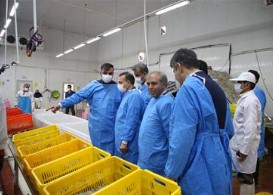 عضو هیأت مدیره و قائم مقام مدیرعامل این بانک: نگاه ما به طرح های تولیدی باید نگاهی توسعه ای و مبتنی بر اهداف بلند مدت باشد