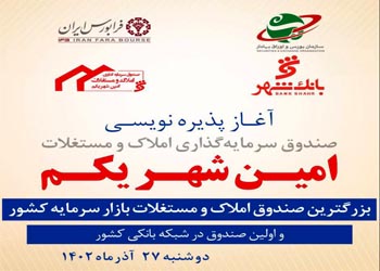 تاکید مدیرعامل بیمه سرمد بر افزایش سهم فروش آنلاین