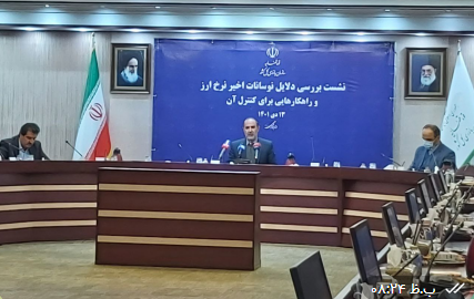 ۷ یافته سازمان بازرسی کل کشور در مورد دلایل نوسانات اخیر نرخ ارز بررسی شد