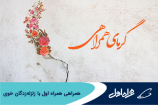 موفقیت بخش دریایی ایران‌ با وجود تحریم‌های شدید‌ کشتیرانی/ تأمین کالای اساسی متوقف نشد